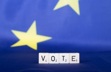 Should we allow EU citizens to vote in any member state's national elections?