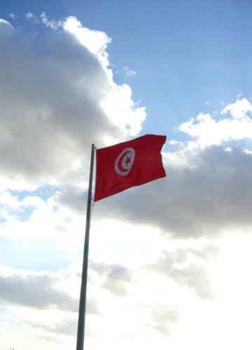 Liberty-Work-Dignity : Tunisia : The People's Revolution