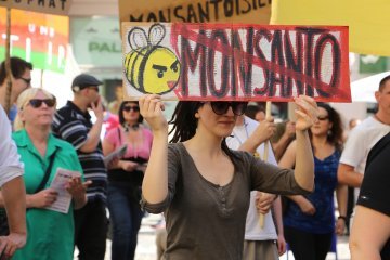 Fusion Bayer – Monsanto : sollte die EU eingreifen ?