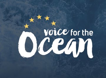 Européennes 2019 : Faire entendre la voix de l'Océan jusque dans les institutions européennes