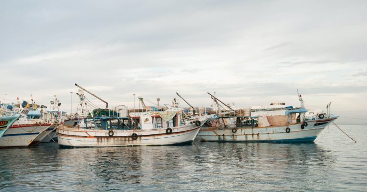 Il ruolo dell'Unione Europea nella pesca marittima