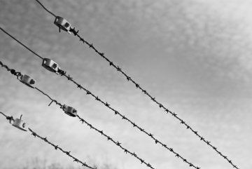 Antysemityzm w Auschwitz: Europa (znów) nad przepaścią